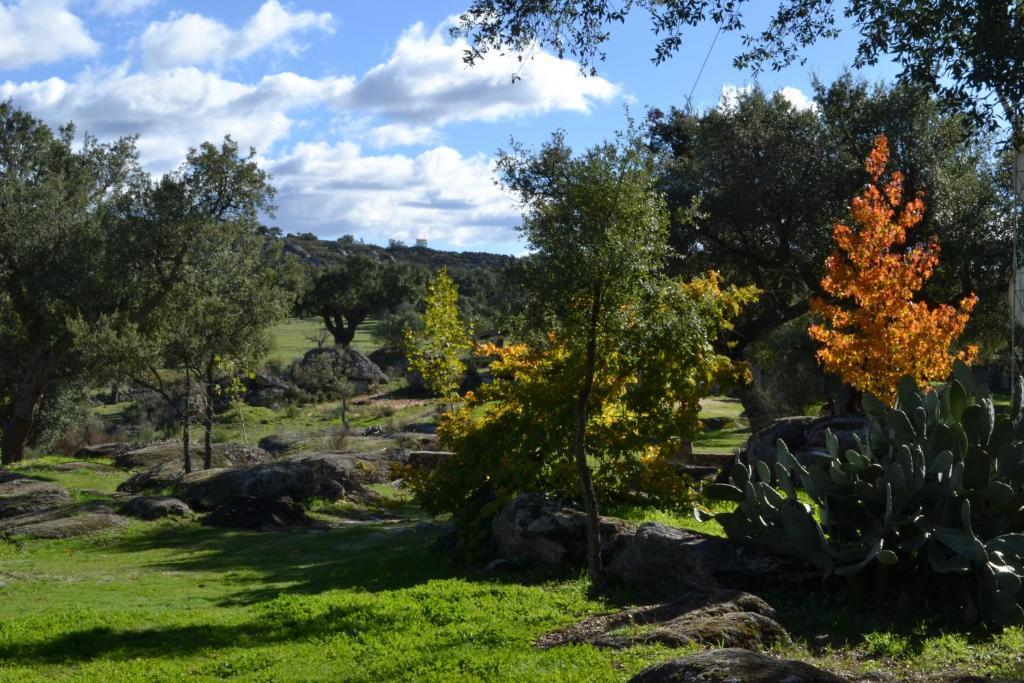 Finca El Cortiñal Valencia de Alcántara Habitación foto